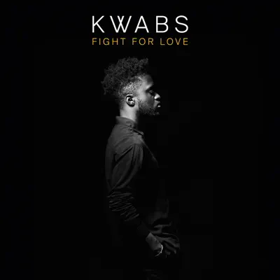 Fight for Love (Blonde Remix) [Radio Edit] - Single - Kwabs