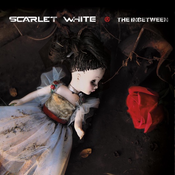 Cover artwork for Never Met