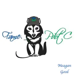 Meagan Good - Single by Fame & PdotC album reviews, ratings, credits