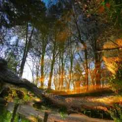 Xtreme (Consumer Take) [Weird Conclusion vs. Bi-Polar] - Single - Bipolar