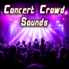 Concert Crowd Sound Effects