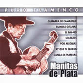 Puro Flamenco - Manitas de Plata