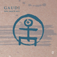 Gaudi - Bass, Sweat & Tears artwork