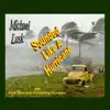 Sounded Like a Hurricane - Single album lyrics, reviews, download