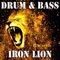 Iron Lion - Stuart Hampton lyrics