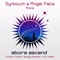 Alone (Sergey Shabanov Radio Edit) - Syntouch & Angel Falls lyrics