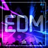 Mission EDM, Vol. 12, 2016