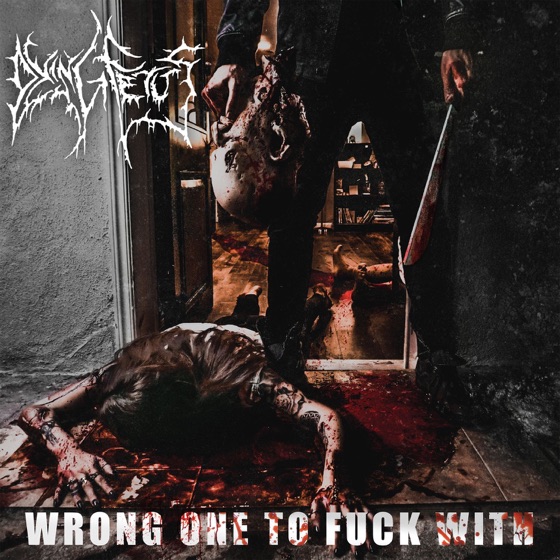 Cover artwork for Fixated on Devastation