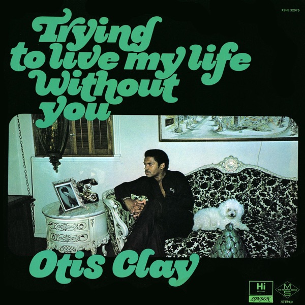Cover artwork for Trying to Live My Life Without You