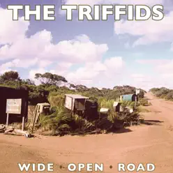 Wide Open Road - Single - The Triffids