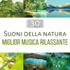 30 Suoni della natura - Migliore musica rilassante: New Age per benessere, cura del corpo e la mente, meditazione profonda, rallentare la tensione con yoga, tai-Chi e pilates - Tempo di Relax Club