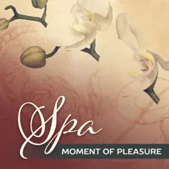 Spa Moment of Pleasure: 30 Soothing Sounds of Nature for Beauty Treatments, Wellness Lounge, Massage & Sauna Background, Amazing Relaxing Music by Spa Music Zone album reviews, ratings, credits