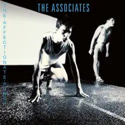 The Affectionate Punch - Associates