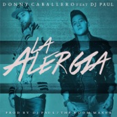 La Alergia (feat. DJ Paul) artwork