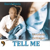 Tell Me (feat. Elizabeth Dellinger) artwork