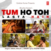 Tum Ho Toh Lagta Hain artwork