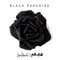 Black Paradise artwork