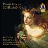 Schumann, Vol. 2: Fantasie, Papillons & Impromptus on a Theme by Clara Schumann artwork