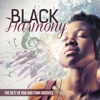 Black Harmony the Best of R&B and Funk Grooves