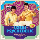 Uzelli Psychedelic Anadolu - Various Artists