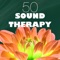 Concentration Study - Sound Therapy Music Specialists lyrics