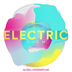 ELECTRIC CALM - VOL 7 cover art