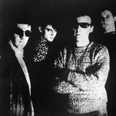 Television Personalities - The Girl Who Had Everything