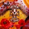 Agata - Black Lion Peru lyrics