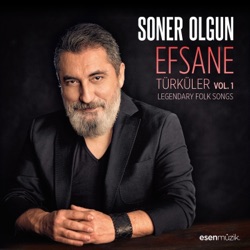 Soner Olgun - Gidiyom Gidemiyom