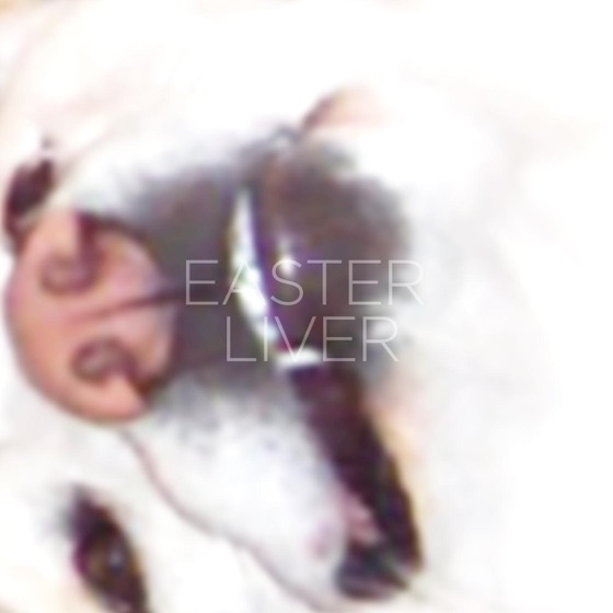 Cover artwork for Liver