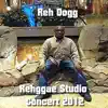 Rehggae Studio Concert 2012 album lyrics, reviews, download