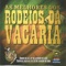 Vila Velha - Elton Saldanha lyrics
