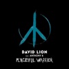 Peaceful Warrior (feat. Anthony B) - Single