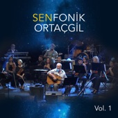 Senfonik Ortaçgil, Vol. 1 artwork