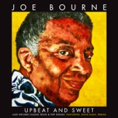 Joe Bourne - Wonderful Tonight