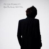 Peter Perrett - Hard to Say No