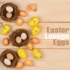 Easter Lounge Eggs, 2017