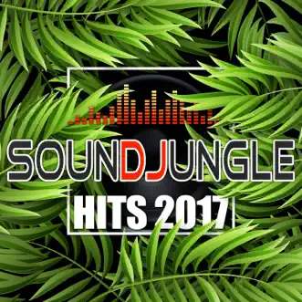 Soundjungle: Hits 2017 by Various Artists album reviews, ratings, credits