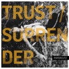Trust/Surrender - Single, 2017