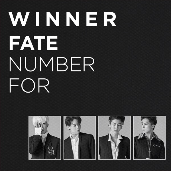 FATE NUMBER FOR - Single - WINNER