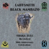 Ladysmith Black Mambazo - Rain, Rain, Beautiful Rain (30th Anniversary Version)