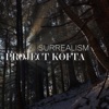 Артём Татищевский Presents Project Kofta Surrealism