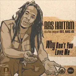 Why Don't You Love Me - Single - Ras Haitrm Why Don't You Love Me - Single - Ras Haitrm