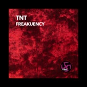 Freakuency (Technoboy & Tuneboy Mix) artwork