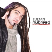 Global Underground: Nubreed 8 - Sultan artwork