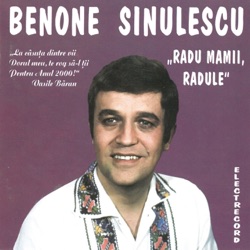 Benone Sinulescu - Ziua Mă Gândesc La Tine