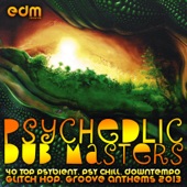 Psychedelic Dub Masters (40 Top Psybient, Psy Chill, Downtempo, Glitch Hop, Groove Anthems 2013) artwork