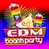 EDM Beach Party, Vol. 4 album cover