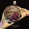 Crystallizer - Rihos & Rojan lyrics