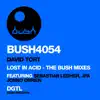 Lost in Acid (The Bush Mixes) - Single album lyrics, reviews, download